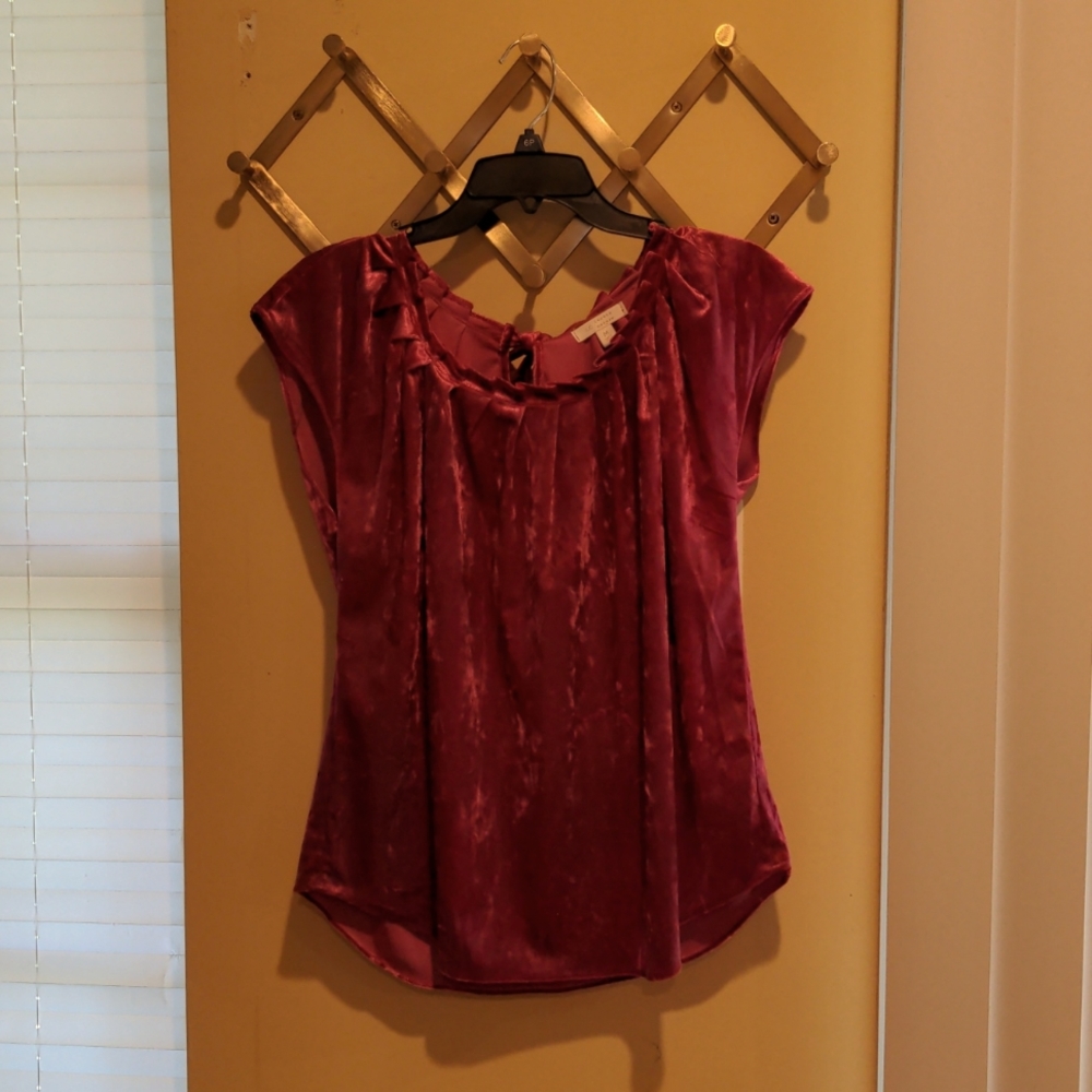 Berry colored velvet top sz M